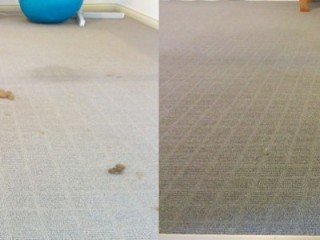 Carpet cleaning Adelaide