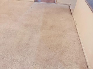 Remove rigid grime and filth with holistic Carpet cleaning services near me