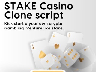 Customizable Stake Clone Script for Your Crypto Casino and Sportsbook