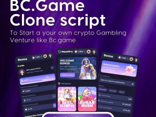 Empower Your Gambling Business with BCGame Clone Software