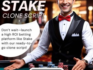 Low-Cost Stake Clone Script for a Seamless Casino Launch