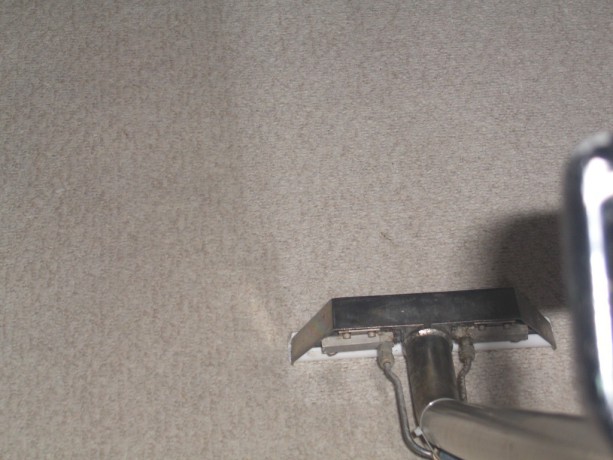 find-best-carpet-cleaning-service-big-1