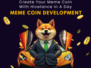 Launching a Meme Coin in 2025