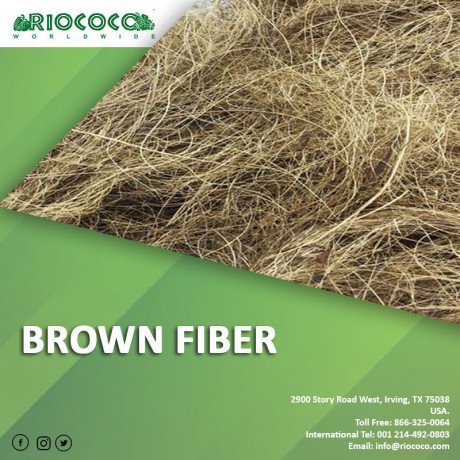 riococo-offers-top-quality-sustainable-coconut-coir-growing-medium-for-gardening-big-0