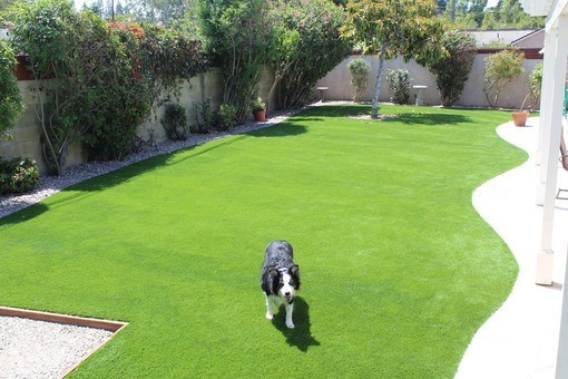 dog-turf-installation-big-0