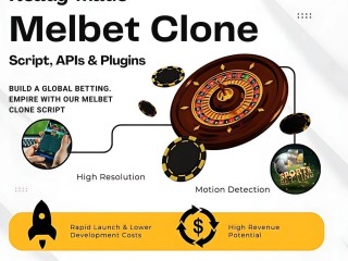 Who Should Consider Building a Casino Platform with Melbet Clone Script?