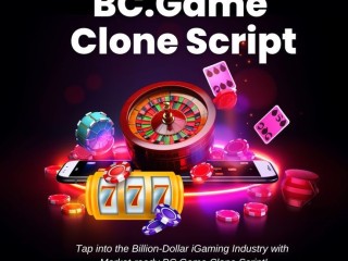 Who Can Use Plurances WhiteLabel BC.Game Clone Script to Scale Fast?