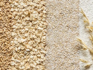Get High-Grade Bulk Oats from the Best Oat Flakes Exporter