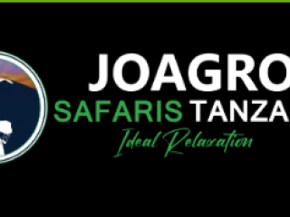 Exclusive Private Safari in Tanzania Book with Experts