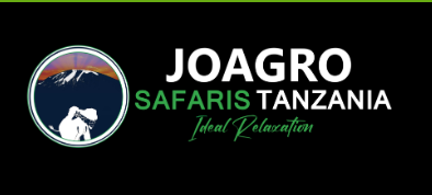 exclusive-private-safari-in-tanzania-book-with-experts-big-0