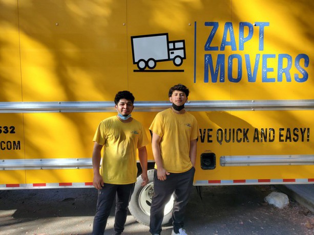 zapt-movers-big-2