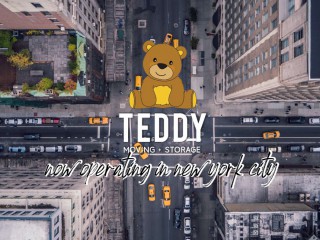 Teddy Moving and Storage